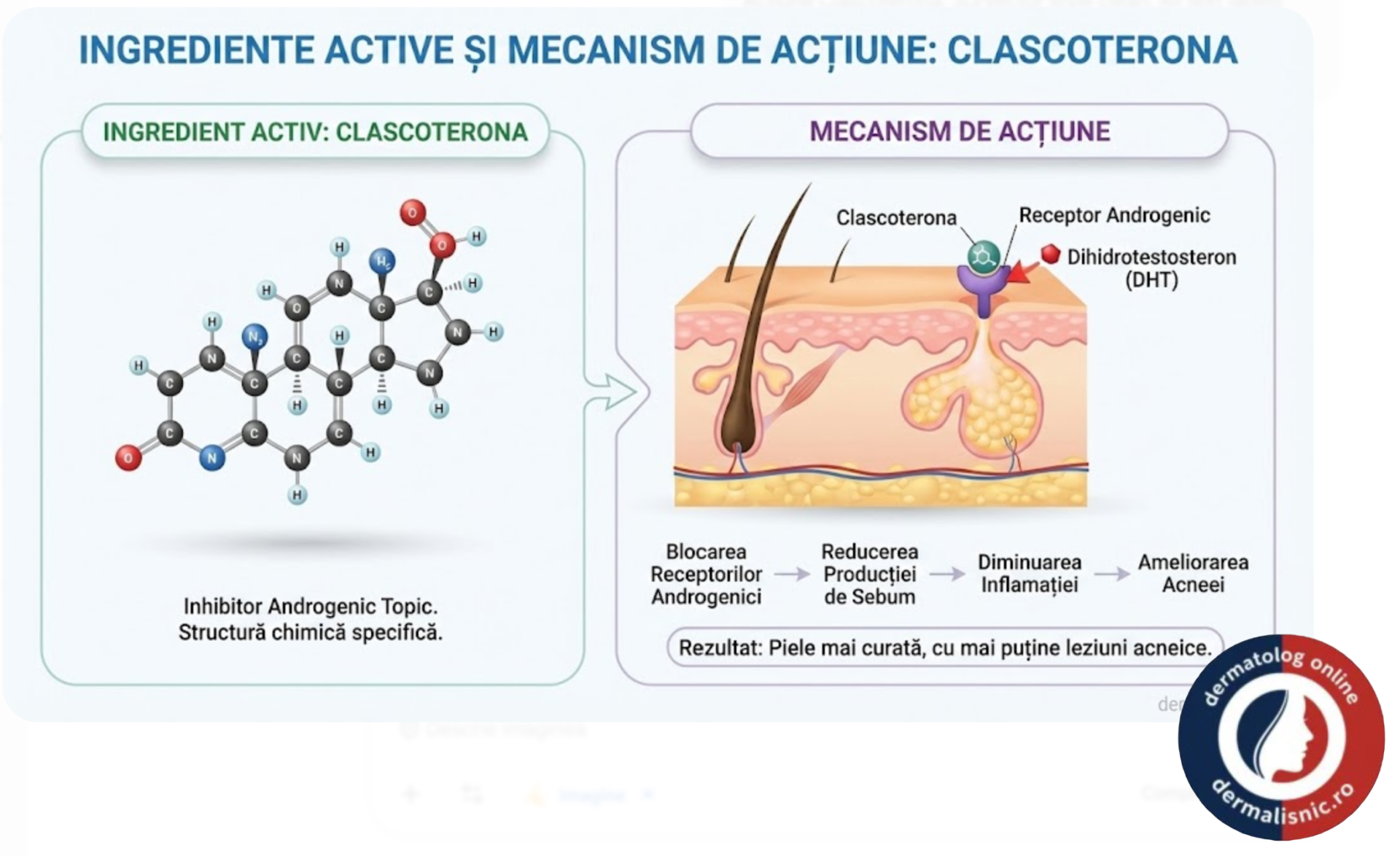 Clascoterona: Vizualizare medicală a interacțiunii ingredientelor active cu porii pielii